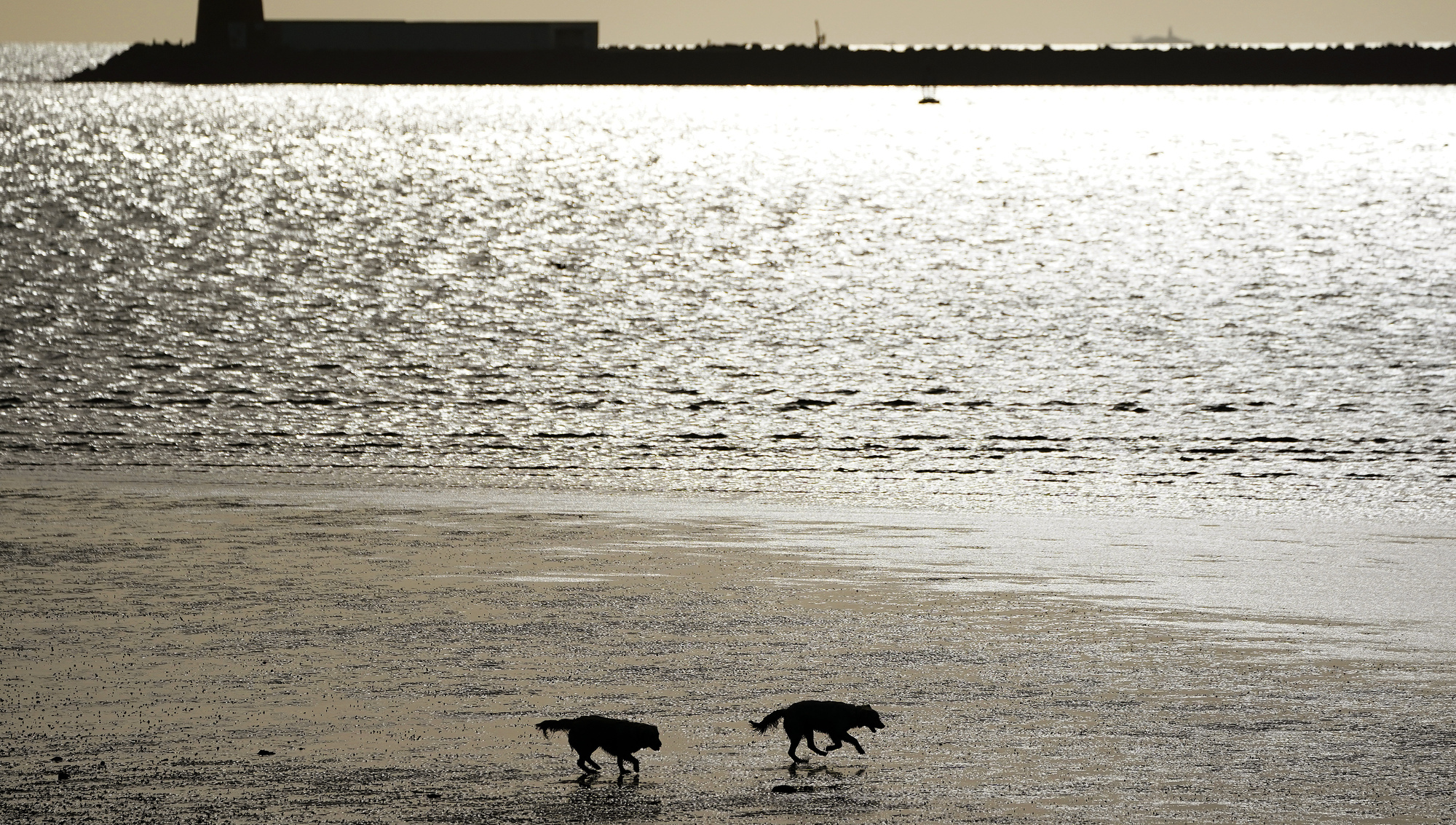 Man in 80s dies in stormy water off south Dublin coast