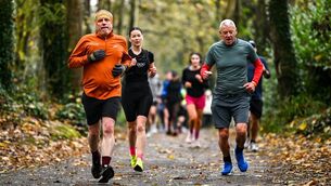 <p>Once you’ve started telling your story, it’s very hard to stop. Pic: Ben McShane/Sportsfile</p>