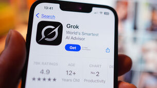 <p>The tougher measures are intended to compel Musk's company xAi to withdraw the chatbot from the bloc. Stock image: Frank Vincini.</p>