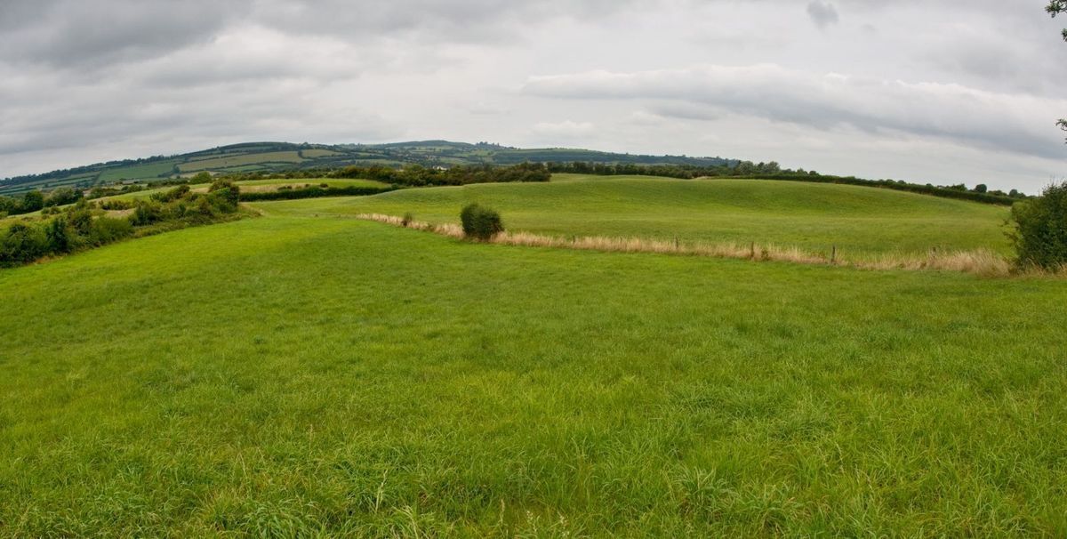 Some of the quality land of the 37-acre farm at Russelstown, Ballyragget, Co. Kilkenny.