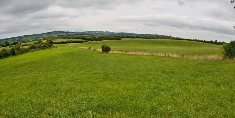 Some of the quality land of the 37-acre farm at Russelstown, Ballyragget, Co. Kilkenny.