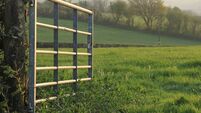 A open farm gate in rural Wales