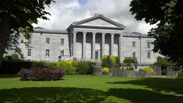 <p>The judge at Ennis District Court said: 'The trial in this case is likely to happen as rabbits are going to fall from the sky.' File picture: Maurice O'Mahony</p>