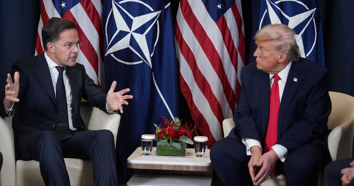 ‘Keep on dreaming’ if you think Europe could defend itself without US, Nato chief tells EU