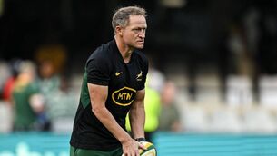 <p>Attack coach Tony Brown is contracted to the Springboks until 2027. Pic: Brendan Moran/Sportsfile</p>