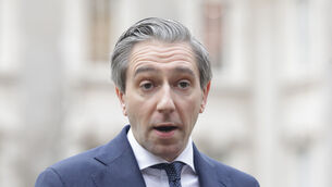 <p>Simon Harris: 'There will now be a Fine Gael regulatory hearing in relation to the matter. That behaviour is unacceptable and that process will thoroughly examine this issue and deliver a recommendation.' File picture: Leah Farrell/RollingNews.ie</p>