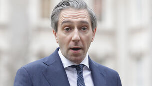 <p>Simon Harris: 'There will now be a Fine Gael regulatory hearing in relation to the matter. That behaviour is unacceptable and that process will thoroughly examine this issue and deliver a recommendation.' File picture: Leah Farrell/RollingNews.ie</p> <p>Simon Harris: 'There will now be a Fine Gael regulatory hearing in relation to the matter. That behaviour is unacceptable and that process will thoroughly examine this issue and deliver a recommendation.' File picture: Leah Farrell/RollingNews.ie</p>