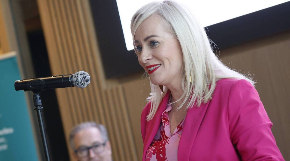 Niamh Smyth said: 'The language even that they were using about ‘user manipulation’ doesn't sit well with me, and ‘bad actors’ doesn't sit well with me.' File photo