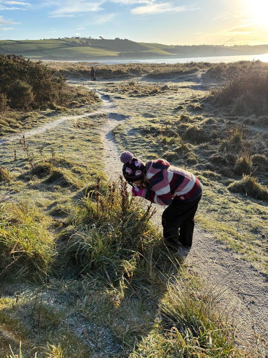9-year old Ada Ryan on a New Year Plant Hunt in Cornwall. Picture: Dan Ryan 9-year old Ada Ryan on a New Year Plant Hunt in Cornwall. Picture: Dan Ryan