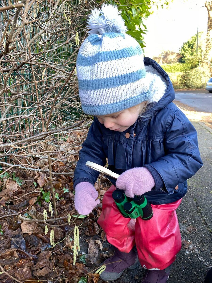 3-year old Ezri Jones uses a magnifying glass to check flowers on her New Year Plant Hunt. Picture: Michael Jones 