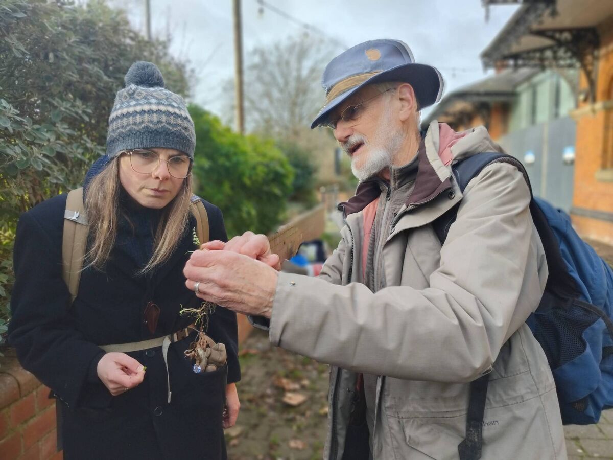  Russell and Sarah check that Annual Meadow-grass is actually in flower. Picture: Louise Marsh 