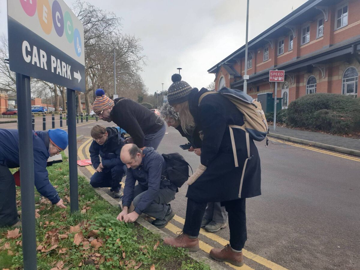 Urban botanists plant hunting in Leicester on New Year's Day, 2026. Picture: Joni Cook Urban botanists plant hunting in Leicester on New Year's Day, 2026. Picture: Joni Cook