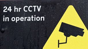 <p>Picture: Denis Minihane.</p>