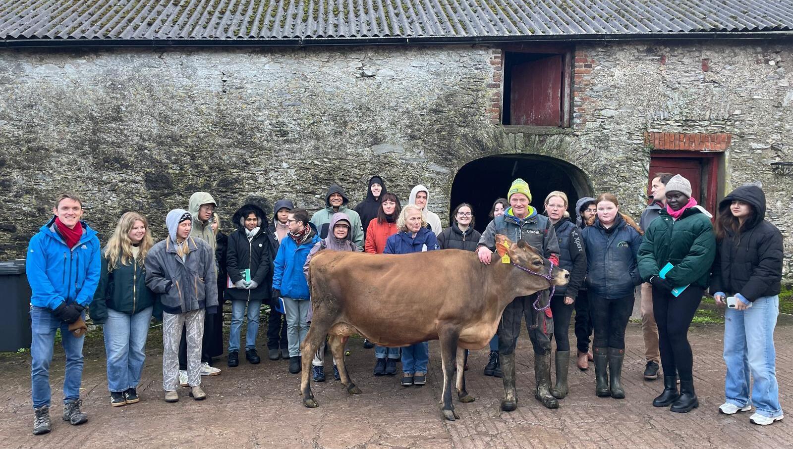 Paula Hynes: What advice would I give a 20-year-old wanting to farm?