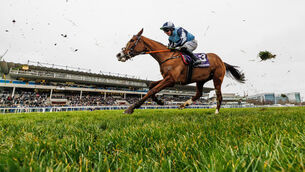 <p>Leopardstown's CEO Mark Clayton is confident the course will be staging the Dublin Racing Festival as scheduled. Pic: ©INPHO/James Crombie</p>