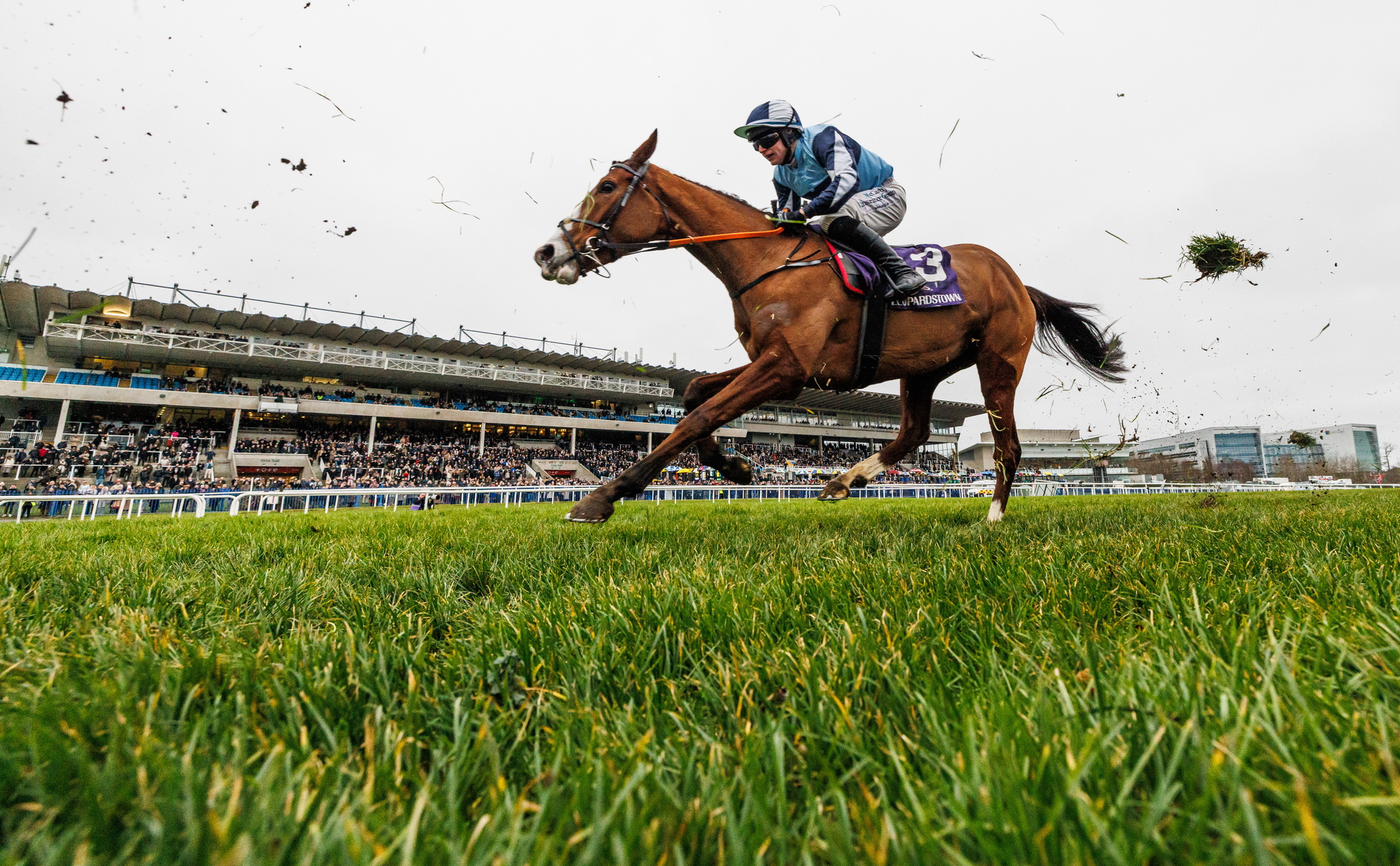 Leopardstown fully expecting Dublin Racing Festival to go ahead as planned
