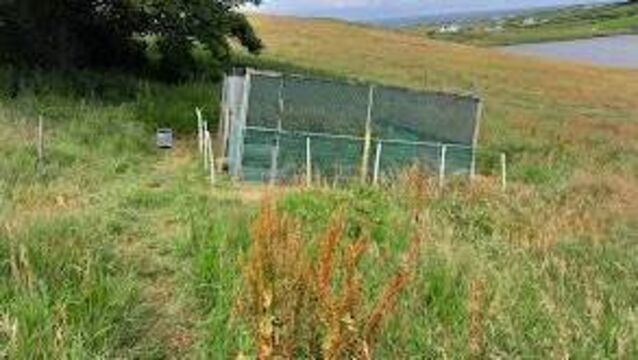 <p>The Corncrake LIFE project has been one of the success stories, working with landowners and local communities to enhance habitats for corncrakes in the west and north west of Ireland.</p>