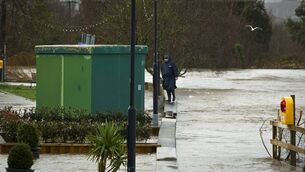 <p>Picture: Garry O'Neill.</p>