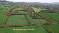 47-acre Limerick holding offers prime potential in Golden Vale