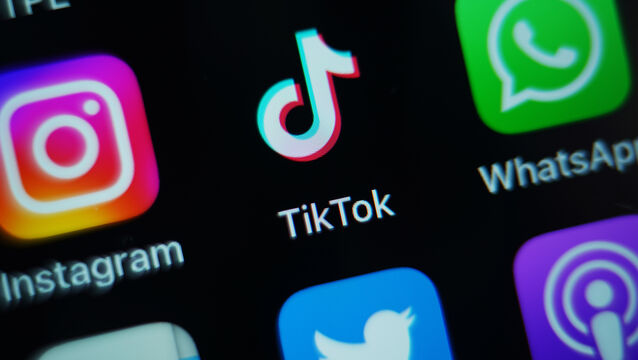 <p>Simon Harris said ‘we need to get to a point where if you’re under the age of 16, you can’t be on social media’ (PA)</p>