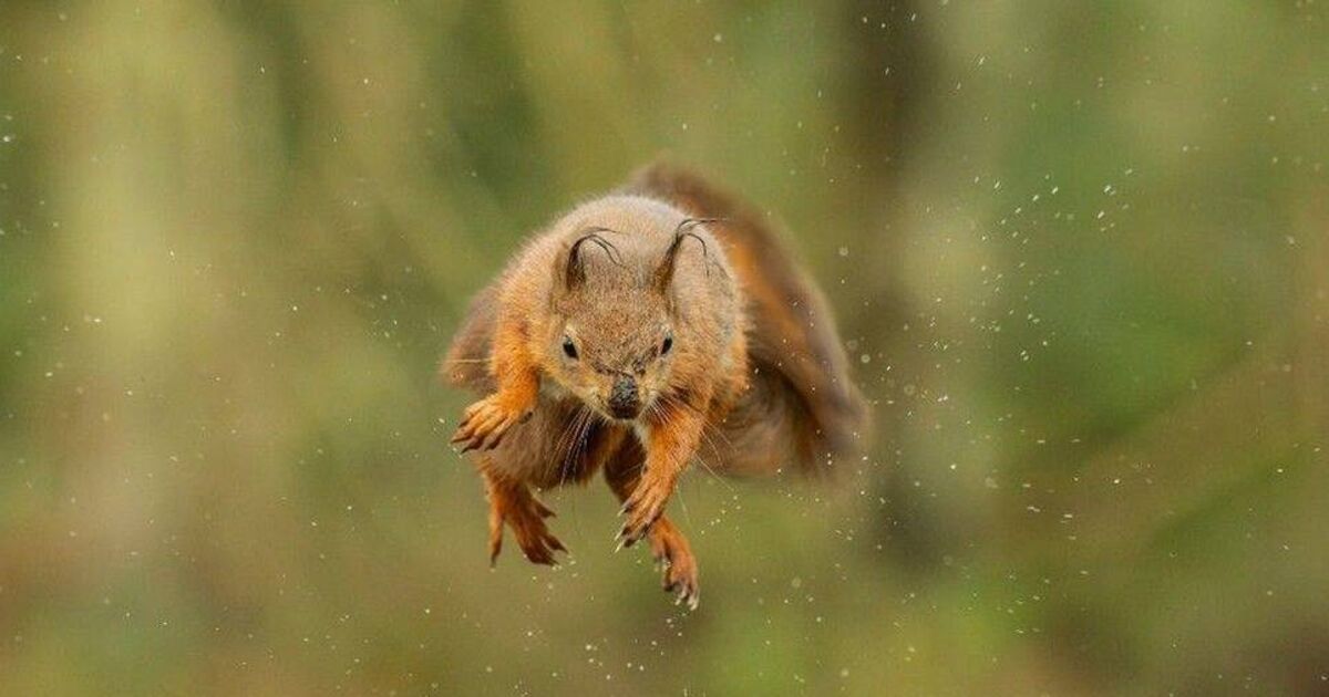 David O'Mahony: Children's book shows it's good to get out of your comfort zone