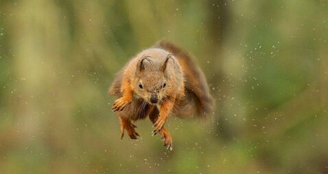 David O'Mahony: Children's book shows it's good to get out of your comfort zone