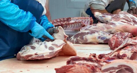 Butchers are cutting pork in the meat plant.