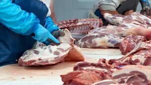 <p>The average price for grade E pig carcasses in week three was €1.48/kg (excluding VAT), back -3.1% on the previous week.</p> <p>The average price for grade E pig carcasses in week three was €1.48/kg (excluding VAT), back -3.1% on the previous week.</p>