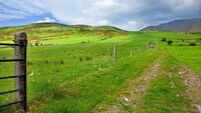 Beautiful Irish Pasture Land