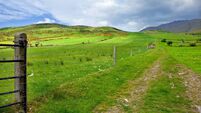 Beautiful Irish Pasture Land