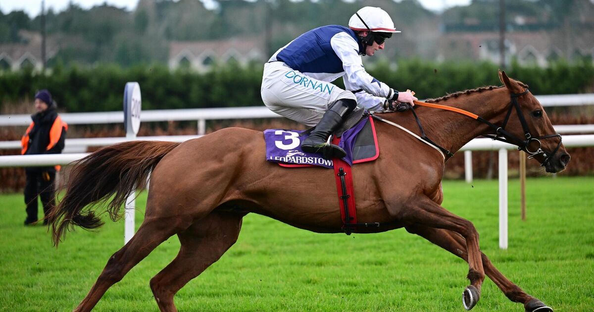 Thurles preview: Exciting El Cairos can enhance Cheltenham claims