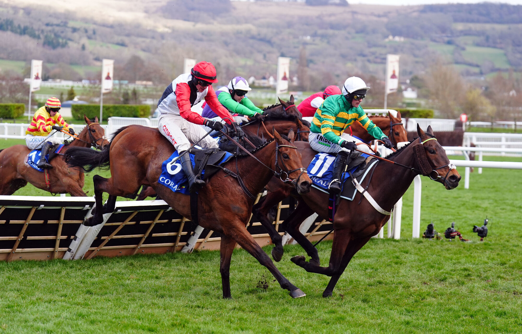 Coral ending long-running sponsorship of Cheltenham Festival handicap