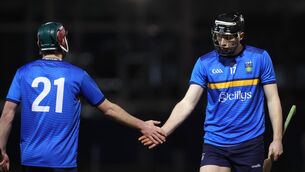 <p>UCD’s were disjointed throughout. Pic: Bryan Keane/Inpho</p>