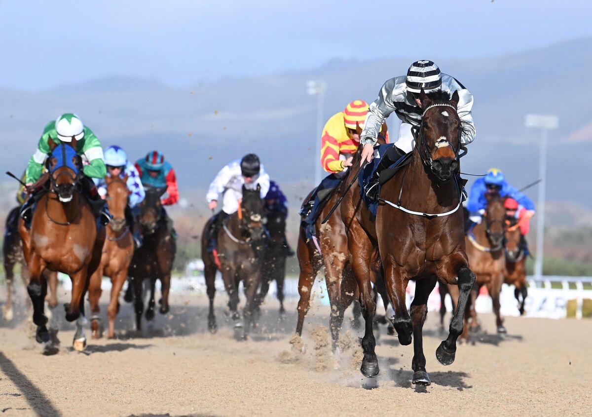 Pass Me If You Can and Wayne Lordan won for trainer Natalia Lupini. Pic: Healy Racing