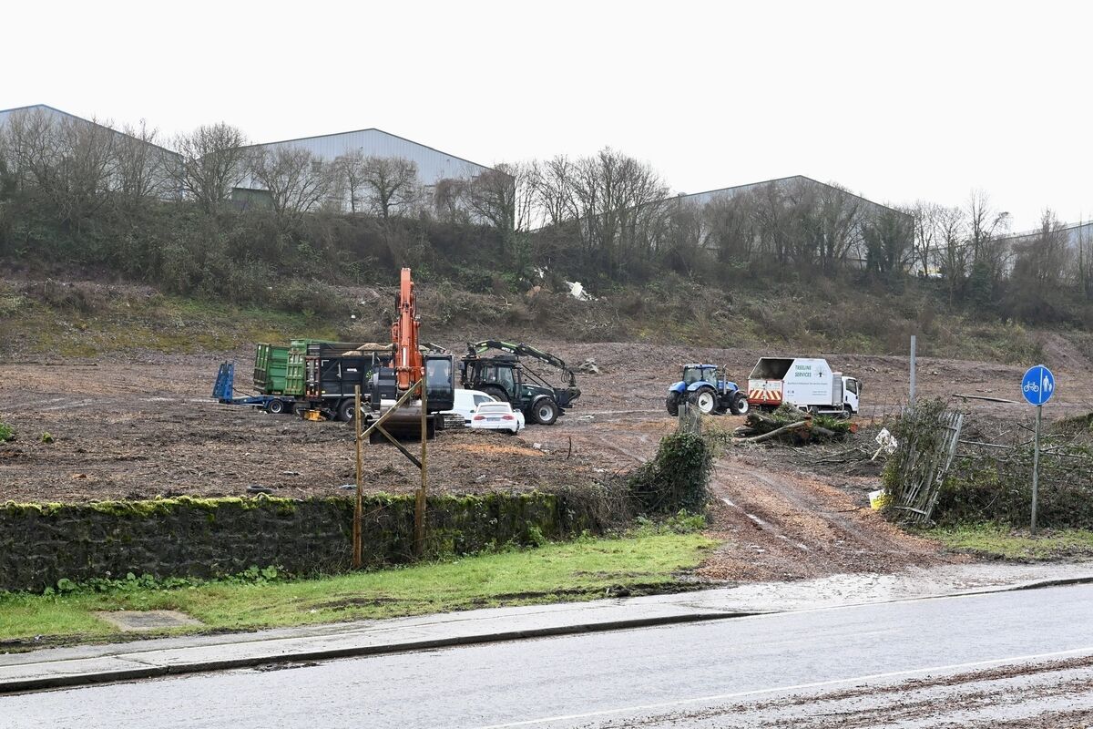 Contractors Noel Kelleher Tree Care & Site Clearance are on site, clearing trees. Picture: Larry Cummins Contractors Noel Kelleher Tree Care & Site Clearance are on site, clearing trees. Picture: Larry Cummins