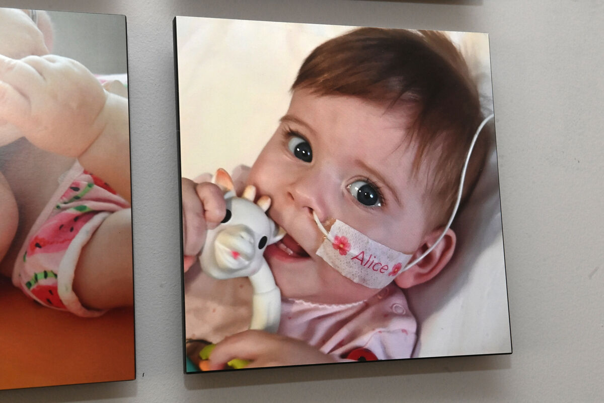 A photo in the family home of baby Alice marking her short life. Picture: Larry Cummins