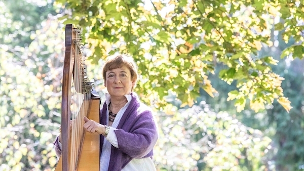 Cork harpist to mark Brexit with performance outside British Embassy