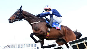 <p>RULED OUT: Kopek Des Bordes was due to clash with Gordon Elliott's Romeo Coolio at Leopardstown this weekend but will now miss that engagement. Picture: Adam Davy/PA </p> <p>RULED OUT: Kopek Des Bordes was due to clash with Gordon Elliott's Romeo Coolio at Leopardstown this weekend but will now miss that engagement. Picture: Adam Davy/PA </p>