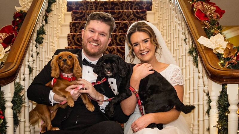 Wedding of the Week: Puppy love as Sarah and Steve bring precious pooches to wedding