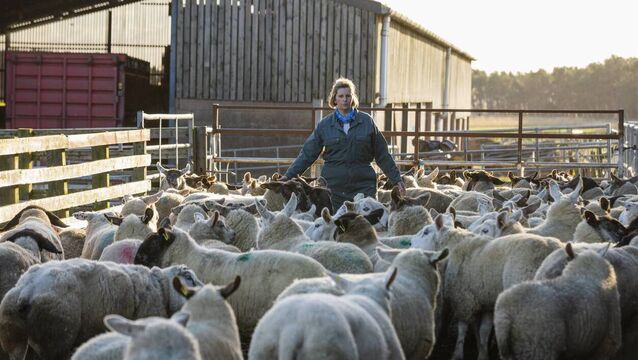 <p>The Women's Day event will be an opportunity for female farmers and stakeholders to network, as well attending a panel discussion.</p>