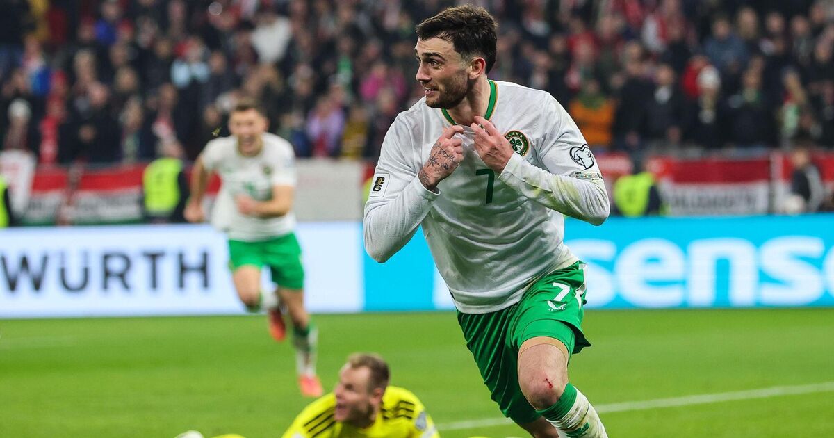 Troy Parrott named Ireland's most marketable personality