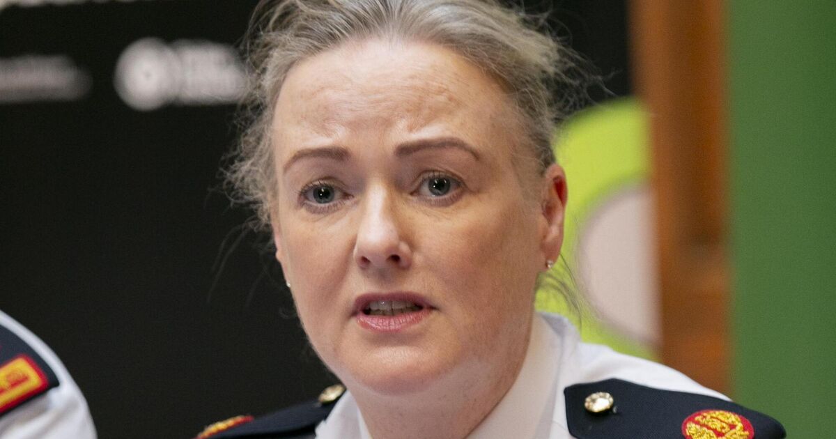 Advances in AI and technology mean children face 'more sinister forms of exploitation', say gardaí