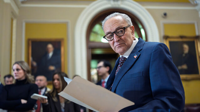 Chuck Schumer,has criticised Donald Trump over immigration enforcement (J. Scott Applewhite/AP) Chuck Schumer,has criticised Donald Trump over immigration enforcement (J. Scott Applewhite/AP)