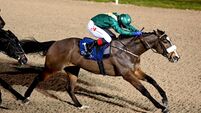 Genoah can carry top weight to Dundalk prize