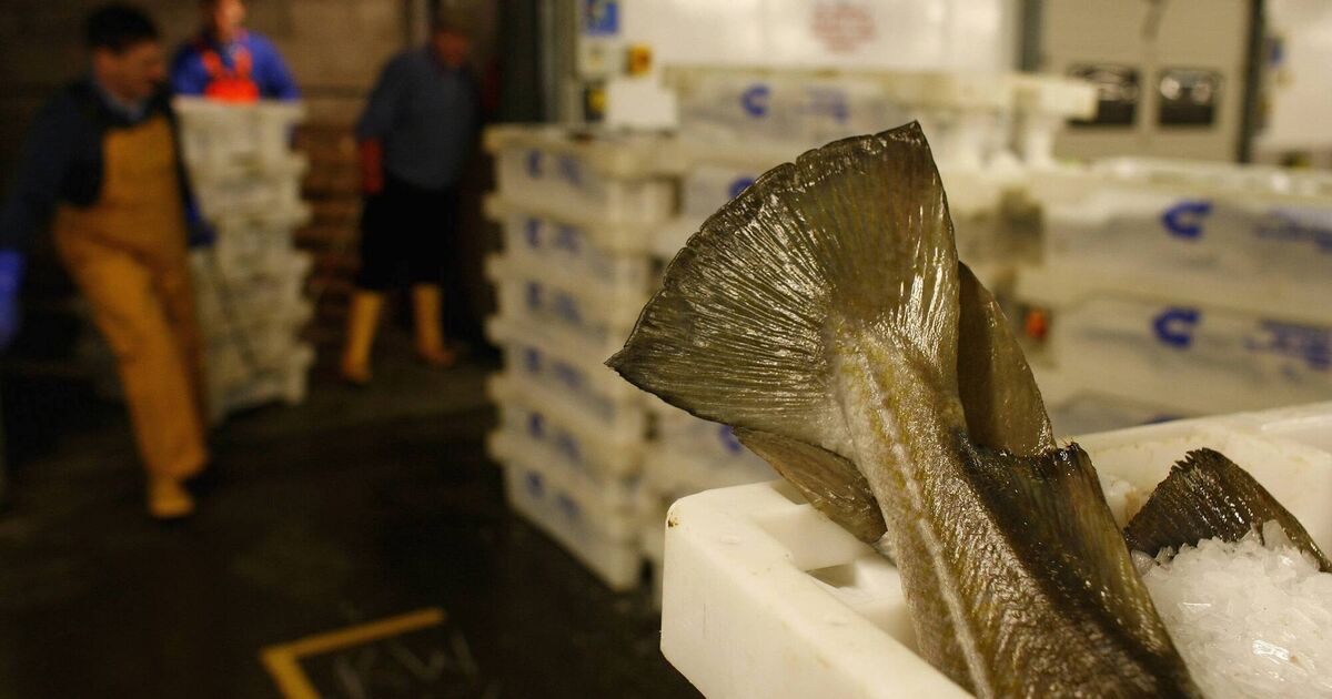 Letters to the Editor: When is a frozen fish not frozen?