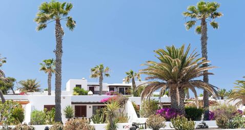 Garden in Fuerteventura