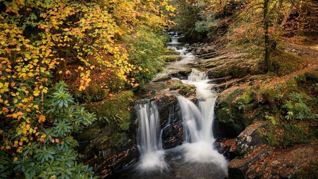 <p>Upper Torc Waterfall in Killarney National Park. The plans for the six-acre centre at Torc, with use of the Torc Waterfall car park, involved works to convert an old stable, a protected structure, as well as new buildings.</p>