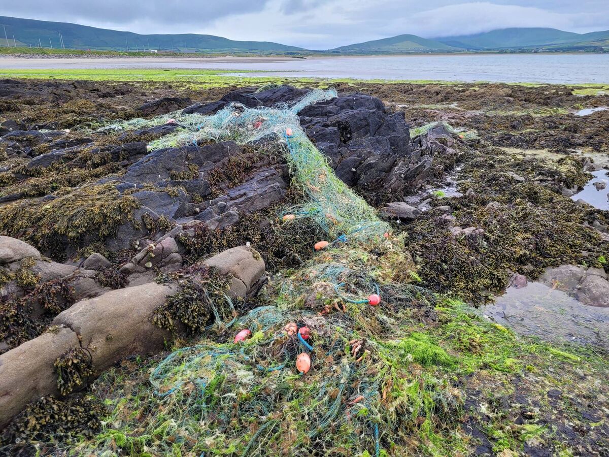 Washed-up tangle netting on the Kerry coast. Picture: Pádraic Fogarty Washed-up tangle netting on the Kerry coast. Picture: Pádraic Fogarty