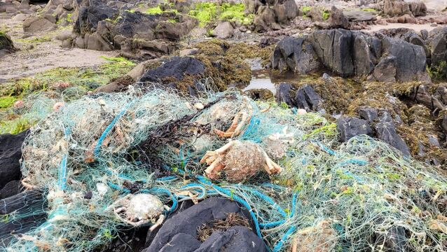<p>Washed-up tangle netting on the Kerry coast. Picture: Pádraic Fogarty </p>