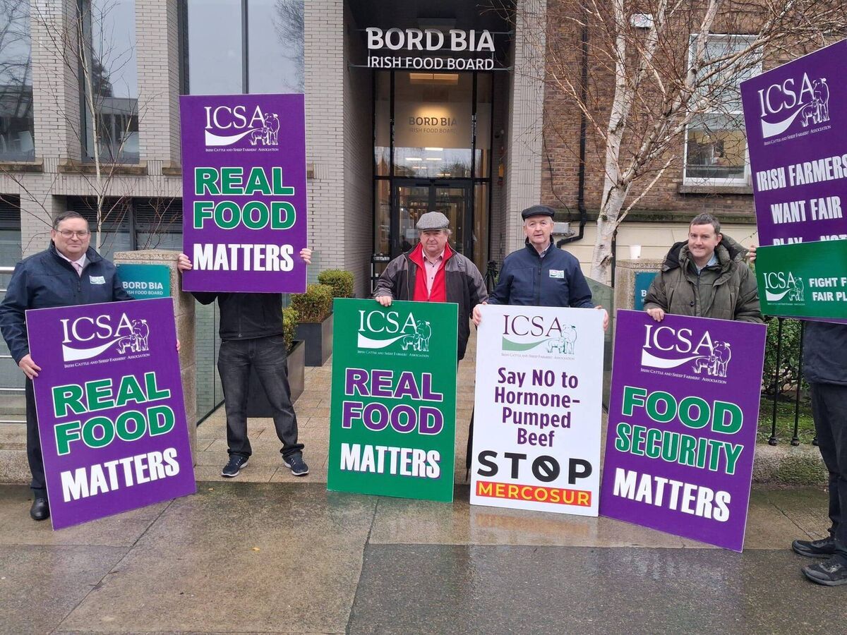 The ICSA protesting outside the Bord Bia offices in Dublin on Thursday as board members failed to remove Larry Mullin as chair of Bord Bia. 